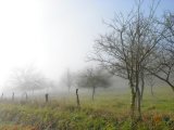 Decembre (2009)